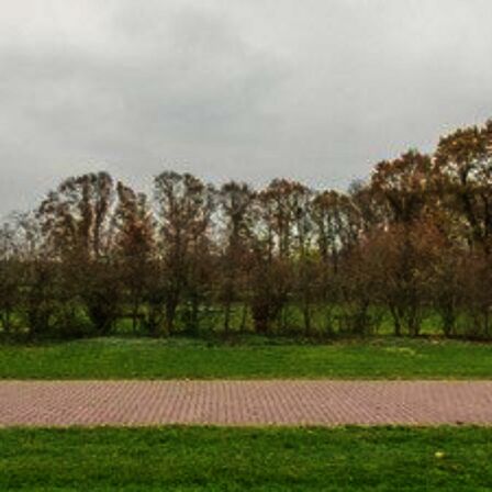 Een camping in onze gemeente middenin de bossen