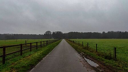 Houtzagersweg in Kootwijk
