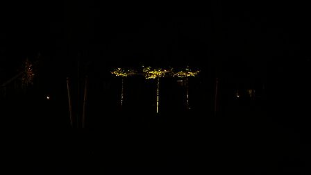 Een tuin, 's nachts, 3 bomen in de tuin worden de hele nacht verlicht