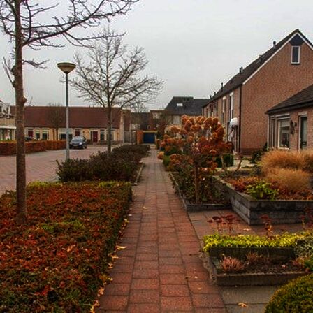 Voetpad gescheiden van de weg door groen