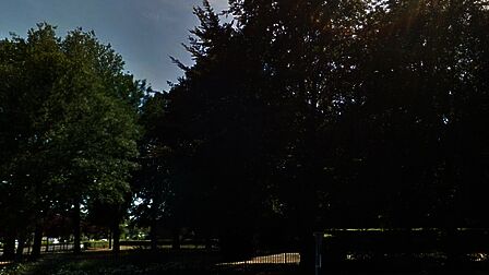 Groenvoorziening bij Schoutenweg-Kallenbroekerweg in Barneveld. Een strook met hoge bomen en wat lager groen. Als hier verlichting zou staan, en er gebeurt wat in het donker, dan is er niemand die dit ziet. Het licht geeft dan schijnveiligheid