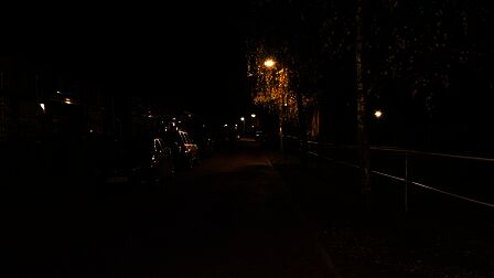 Ericaweg in Stroe. Lantaarnpaal staat in de boom en geeft niet voldoende licht meer op de weg
